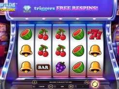 Wilds of Fortune Slots